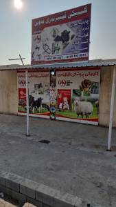 Awin Veterinary