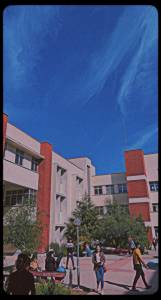 College Of Basic Education