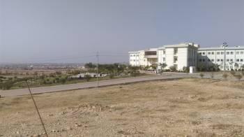 College Of Education