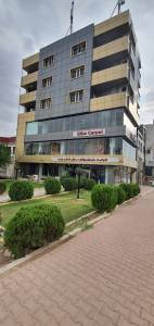 Diba Carpet Slemani