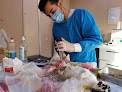 Dr Qana Veterinary Clinic
