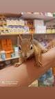Dr. Sam Veterinary Clinic