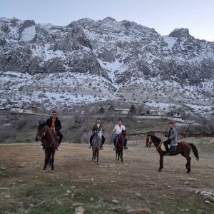 Mountain’s Equestrians Of Mergapan