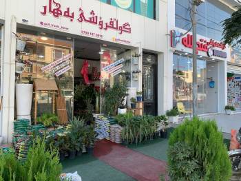 Nawroz Dental Medical Clinic