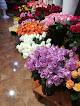Sardam Flowers