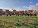Shahidani Hajiawa Park